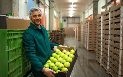 Seguros para empleados de empresas en Mercabarna